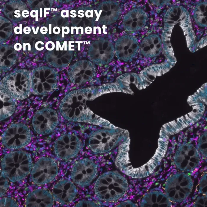 seqIF™ assay development on COMET™