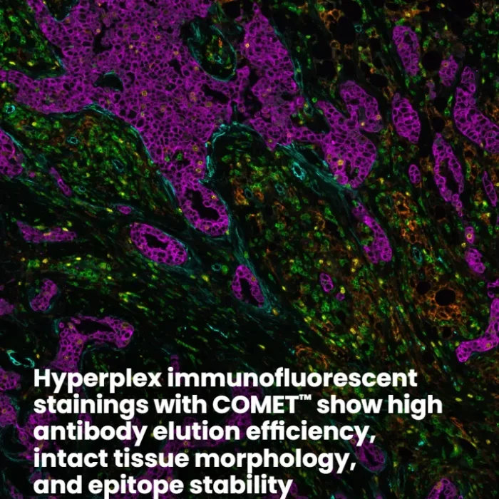 Elution efficiency and epitope stability with COMET™