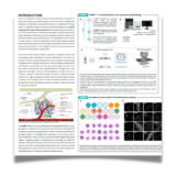 ABRF 2022 – Mapping the cellular architecture of the tumor microenvironment by integrating hyper¬plex immunofluorescence and automated image analysis