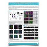 Mapping the spatial heterogeneity of the tumor micro environment by hyperplex immunofluorescence with COMET™