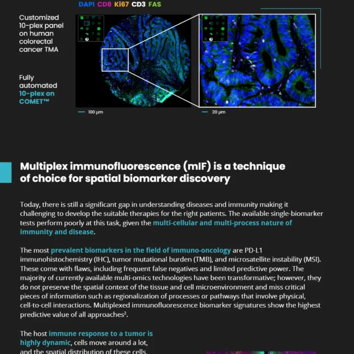 Using spatial biology to advance biomarker discovery and personalized medicine