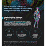 Using spatial biology to advance biomarker discovery and personalized medicine