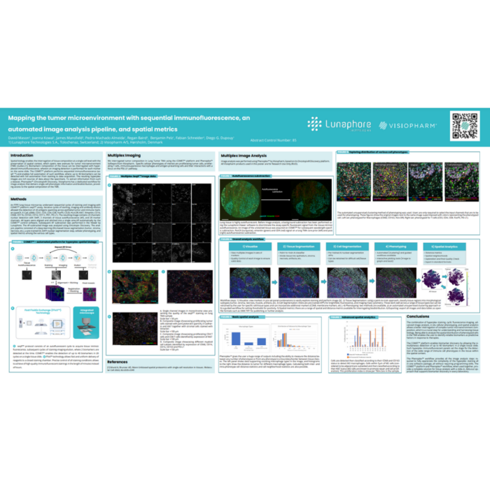 Mapping the tumor microenvironment with sequential immunofluorescence, an automated image analysis pipeline, and spatial metrics