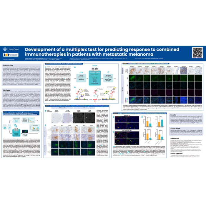 Development of a multiplex test for predicting response to combined immunotherapies in patients with metastatic melanoma