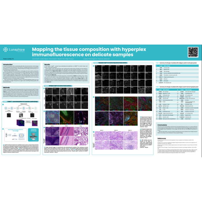 Mapping the tissue composition with hyperplex immunofluorescence on delicate samples