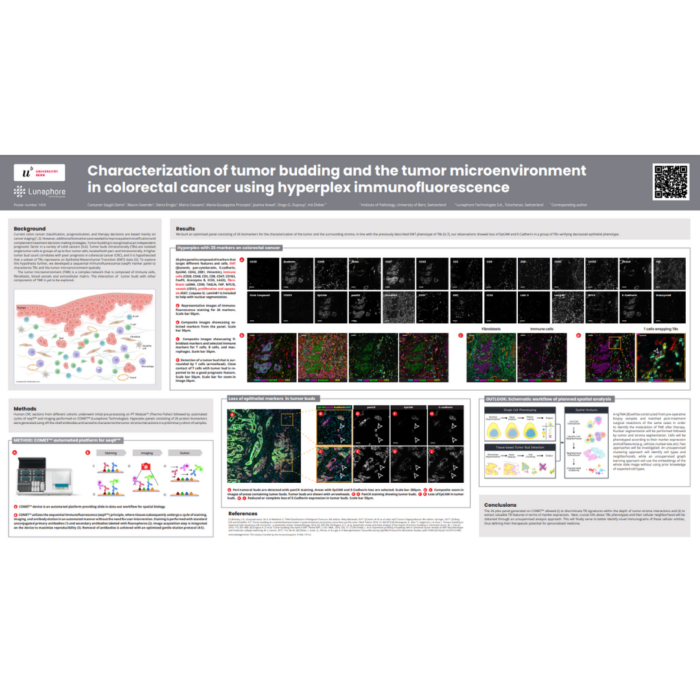 Characterization of tumor budding and the tumor microenvironment in colorectal cancer using hyperplex immunofluorescence