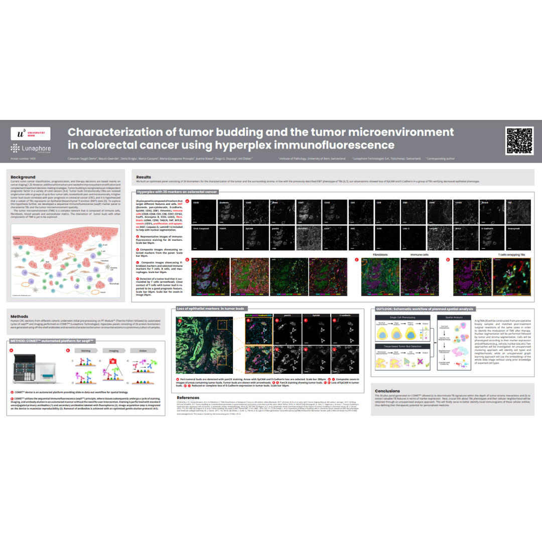 Characterization of tumor budding and the tumor microenvironment in ...