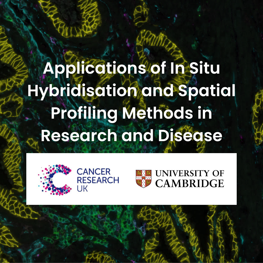 Applications of In Situ Hybridisation and Spatial Profiling Methods in ...