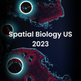 Spatial Biology US