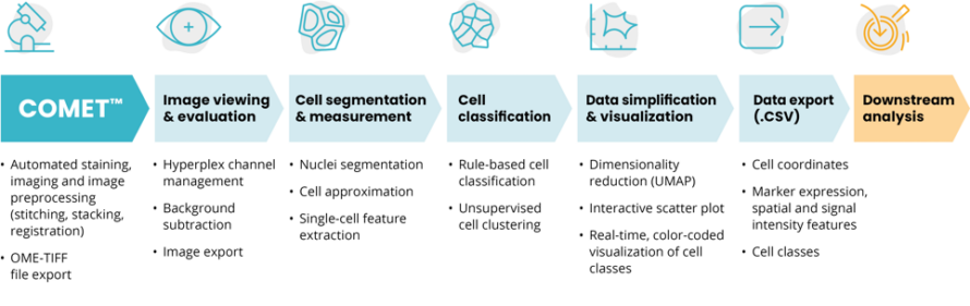 Exploring spatial insights between tumor and stroma with multiplex ...