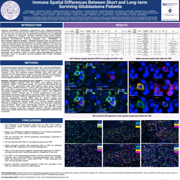 Immune Spatial Differences Between Short and Long-term Surviving Glioblastoma Patients