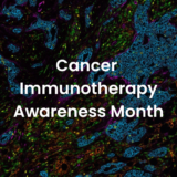 Interview with Dr. Janis Taube: raising awareness about cancer immunotherapy