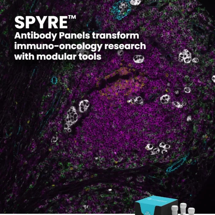 SPYRE™ Antibody Panels transform immuno-oncology research