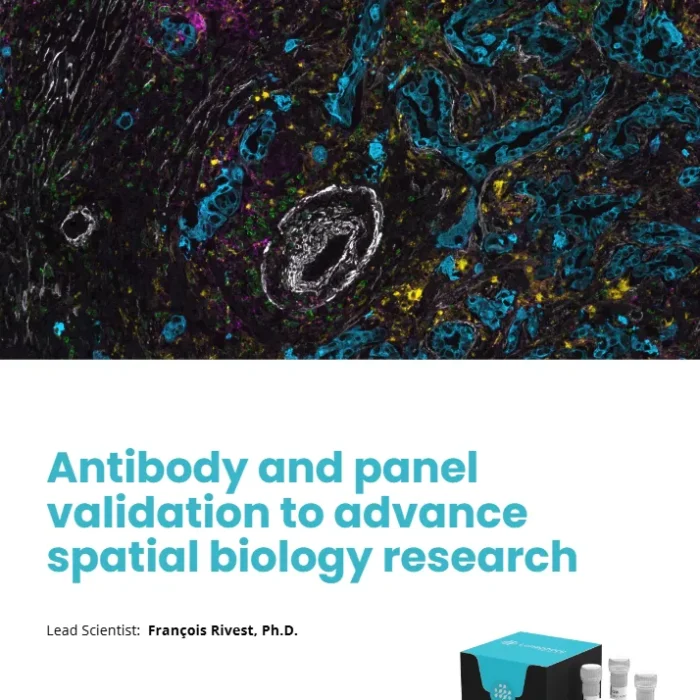 Antibody and panel validation to advance spatial biology research
