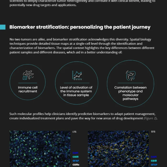 Navigating neuroscience through spatial biology