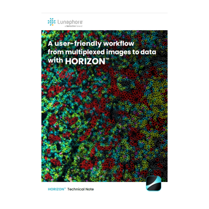 A user-friendly workflow from multiplexed images to data with HORIZON™