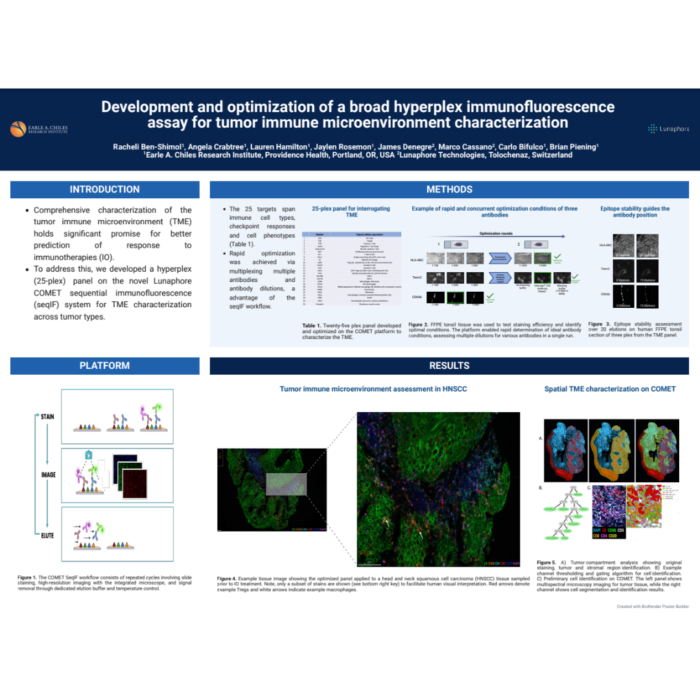 Development and optimization of a broad hyperplex immunofuorescence assay for tumor immune microenvironment characterization