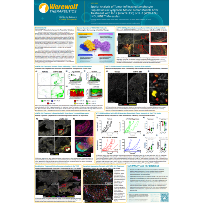 Spatial Analysis of Tumor Infiltrating Lymphocyte Populations in Syngeneic Mouse Tumor Models After Treatment with IL-12 (mWTX-330) or IL-2 (WTX-124) INDUKINE™ Molecules