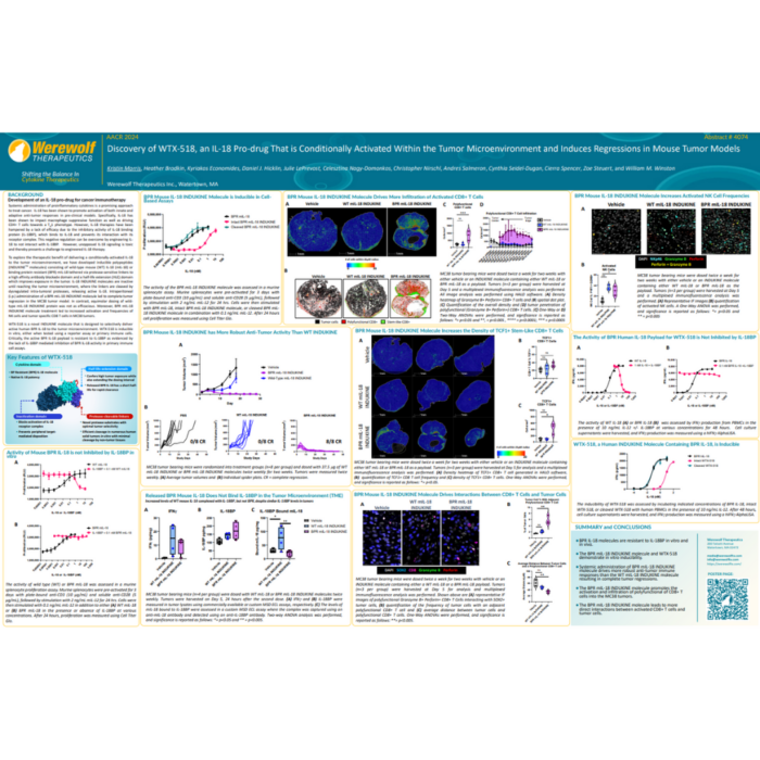 Discovery of WTX-518, an IL-18 Pro-drug That is Conditionally Activated Within the Tumor Microenvironment and Induces Regressions in Mouse Tumor Models