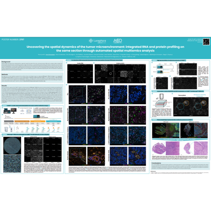 Uncovering the spatial dynamics of the tumor microenvironment: integrated RNA and protein profiling on the same section through automated spatial multiomics analysis