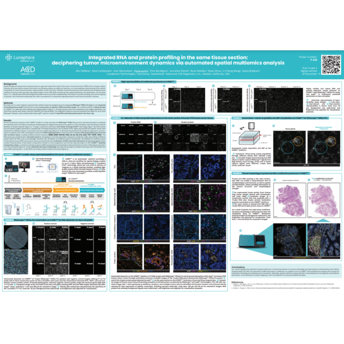 Integrated RNA and protein profiling in the same tissue section: deciphering tumor microenvironment dynamics via automated spatial multiomics analysis