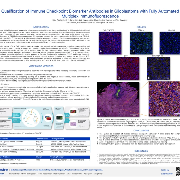 Qualification of Immune Checkpoint Biomarker Antibodies in Glioblastoma with Fully Automated Multiplex Immunofluorescence