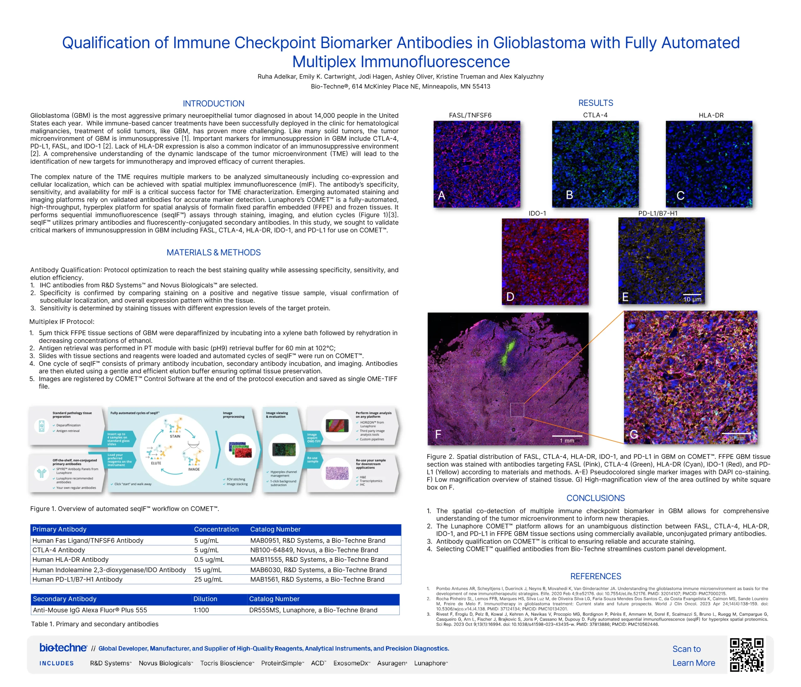 Qualification of Immune Checkpoint Biomarker Antibodies in Glioblastoma ...