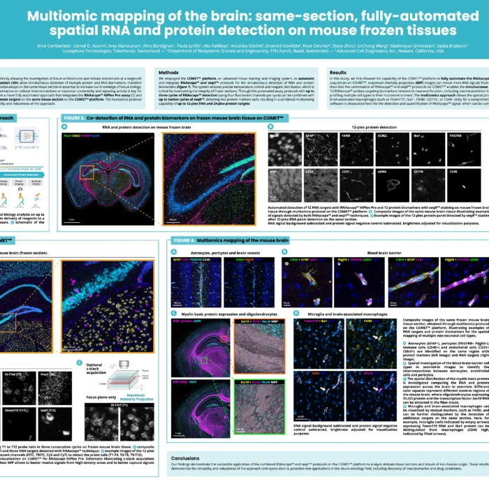 Multiomic mapping of the brain: same-section, fully-automated spatial RNA and protein detection on mouse frozen tissues