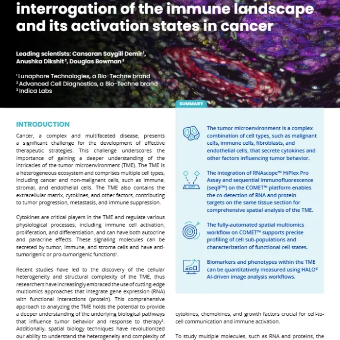 Spatial multiomics for comprehensive interrogation of the immune landscape and its activation states in cancer