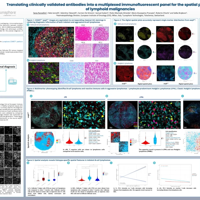 Translating clinically validated antibodies into a multiplexed immunofluorescent panel for the spatial profiling of lymphoid malignancies