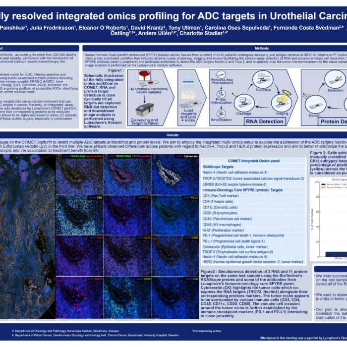 Spatially resolved integrated omics profiling for ADC targets in Urothelial Carcinoma