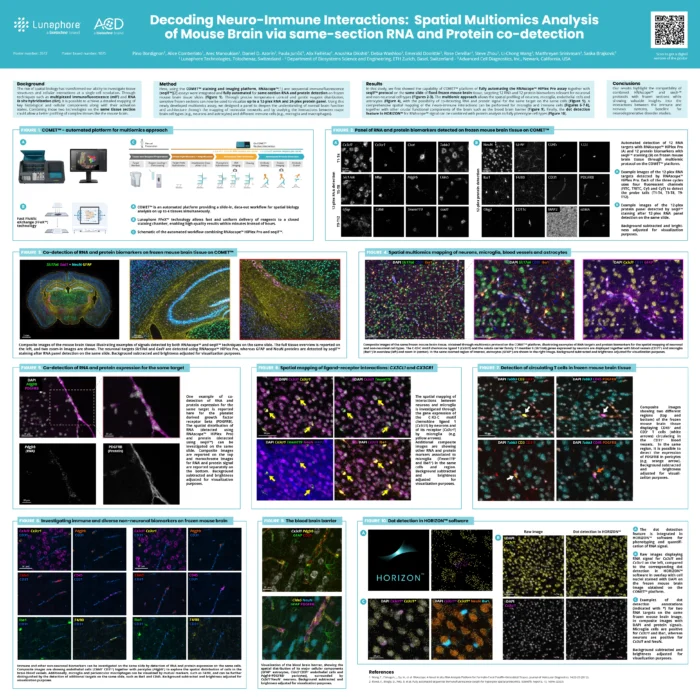 Decoding Neuro-Immune Interactions: Spatial Multiomics Analysis of Mouse Brain via same-section RNA and Protein co-detection