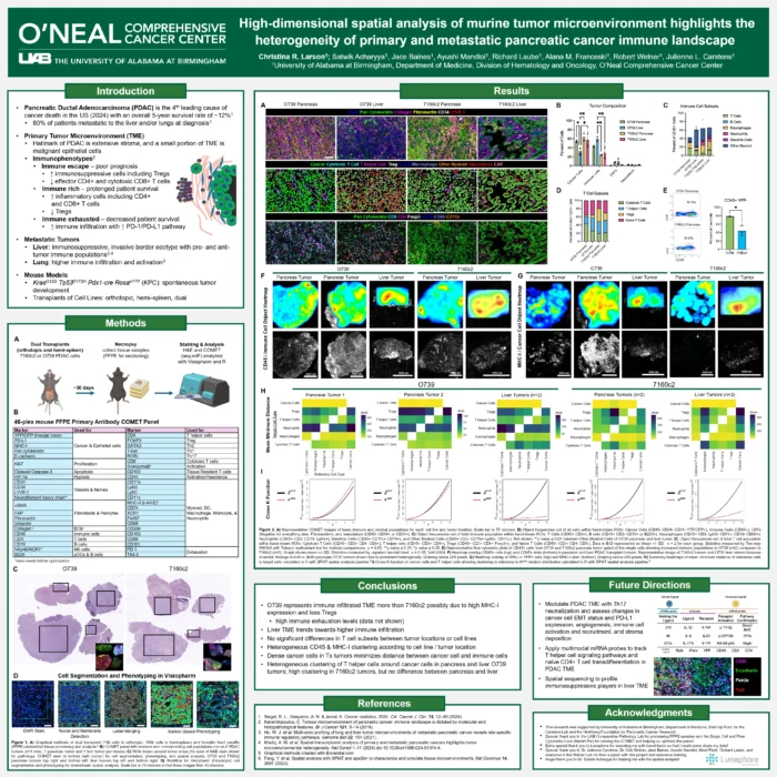 High-dimensional spatial analysis of murine tumor microenvironment highlights the heterogeneity of primary and metastatic pancreatic cancer immune landscape