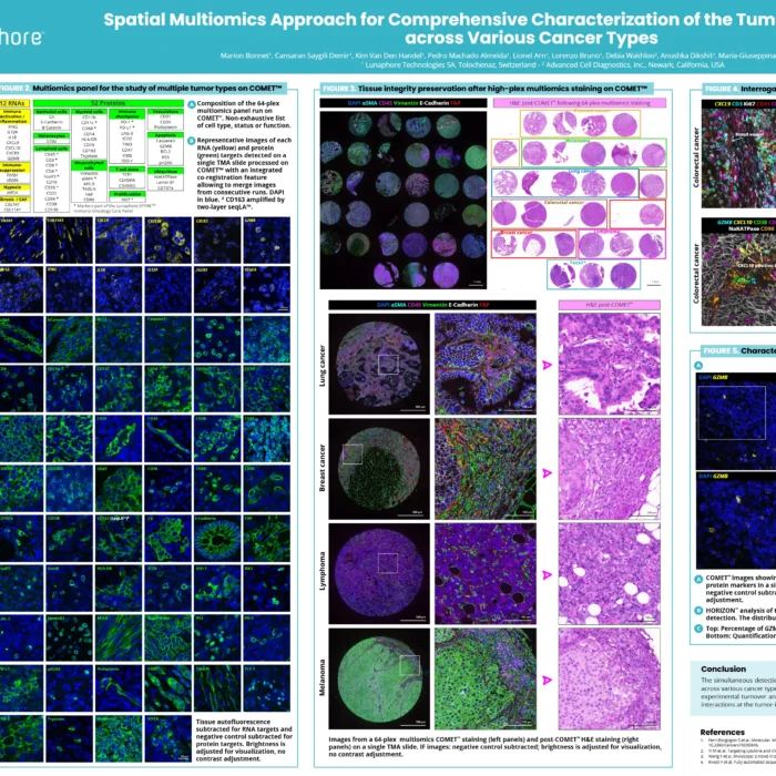 Spatial Multiomics Approach for Comprehensive Characterization of the Tumor Microenvironment across Various Cancer Types