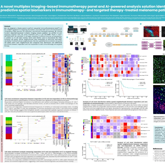 A novel multiplex imaging-based immunotherapy panel and AI-powered analysis solution identified predictive spatial biomarkers in immunotherapy- and targeted therapy-treated melanoma patients