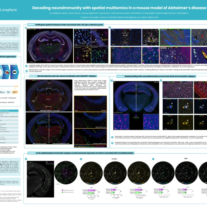 Decoding neuroimmunity with spatial multiomics in a mouse model of Alzheimer’s disease