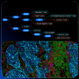 Accelerating Immuno-Oncology Research With A Pre-Configured HORIZON™ Image Analysis Workflow For SPYRE™ Antibody Panels